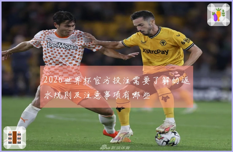 2026世界杯官方投注需要了解的返水规则及注意事项有哪些